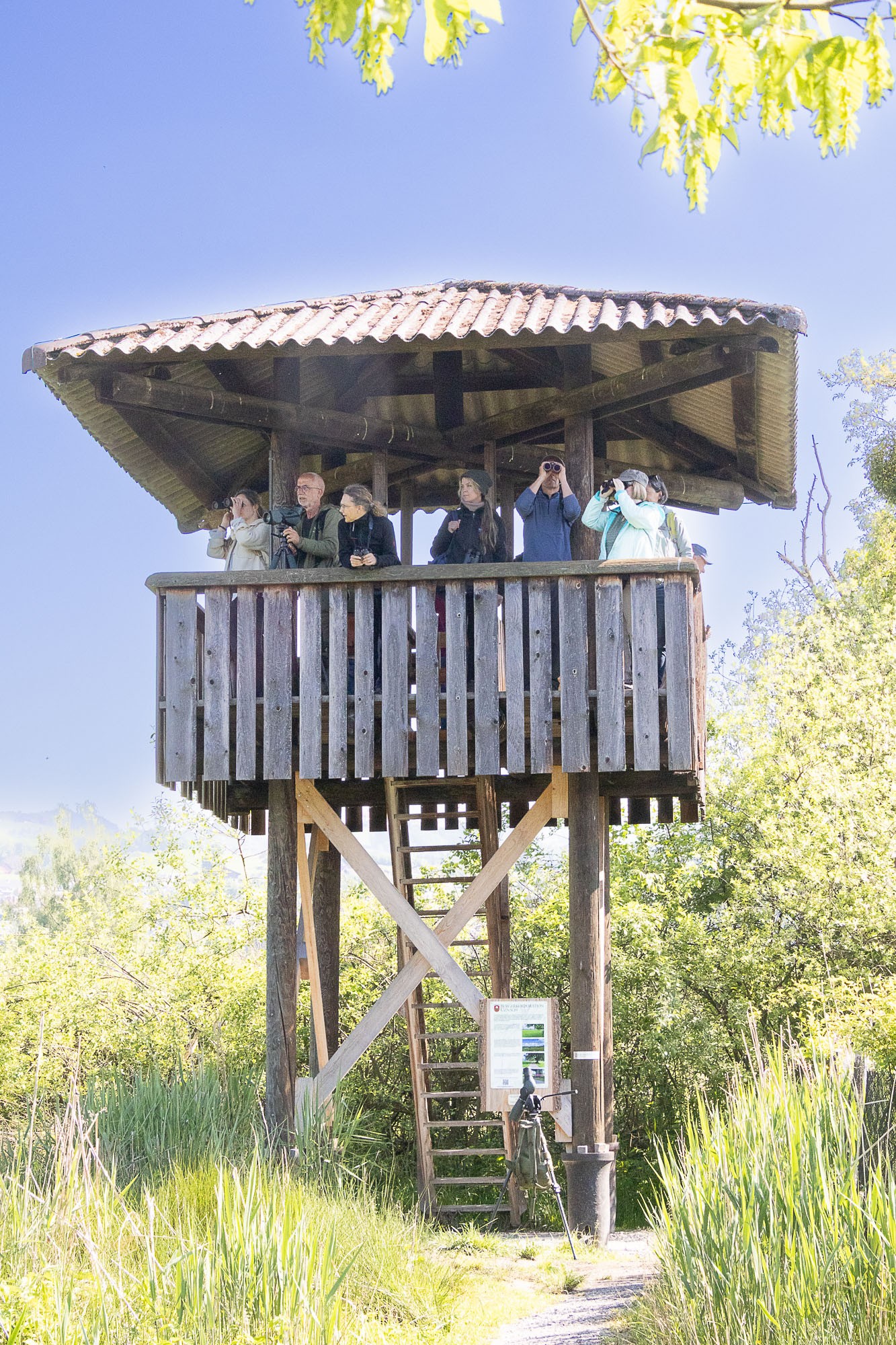 Exkursion-GK-Kaltbrunner-Ried