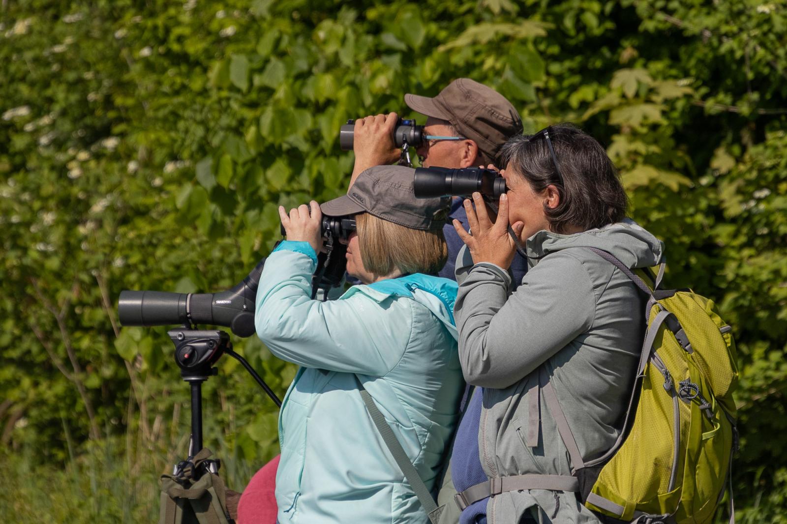 Grundkurs