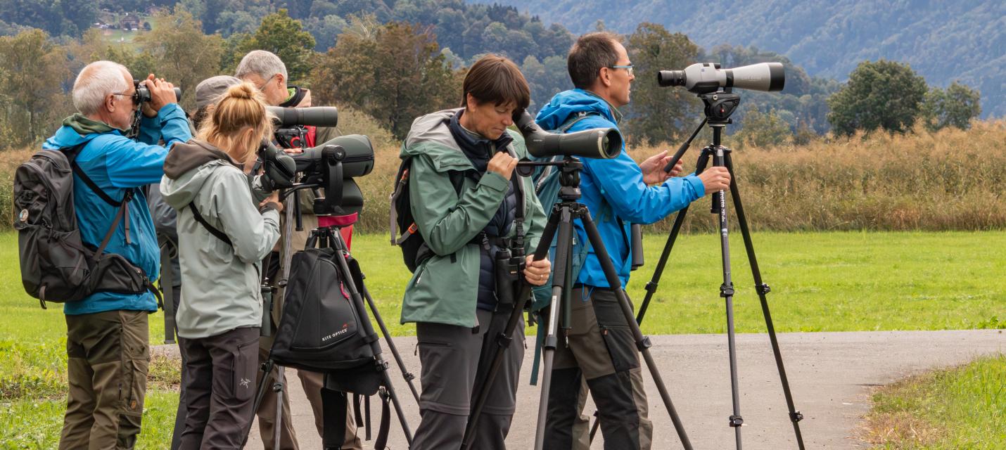 Vogelexkursion ins Kaltbrunner Riet