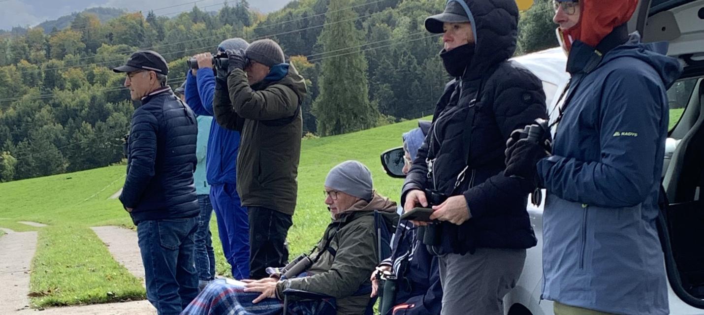 Eurobirdwatch 2025